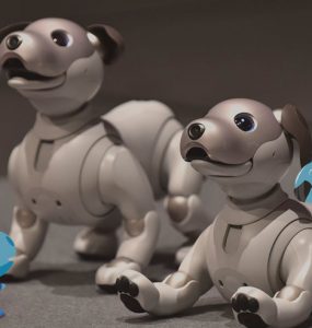 Aibo, Si Robot Anjing yang Lucu dan Pintar 16